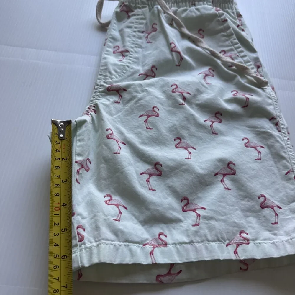 Massive Apparel Men’s Flamingo Print Shorts Size L Mint Green Drawstring Casual